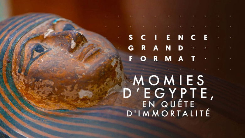 кадр из фильма Momies d'Egypte, en quête d'immortalité