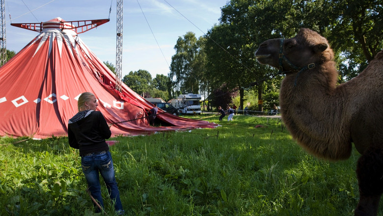 кадр из фильма Calimucho