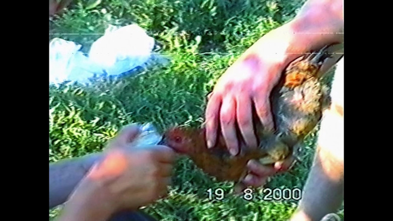 кадр из фильма Русский Артхаус