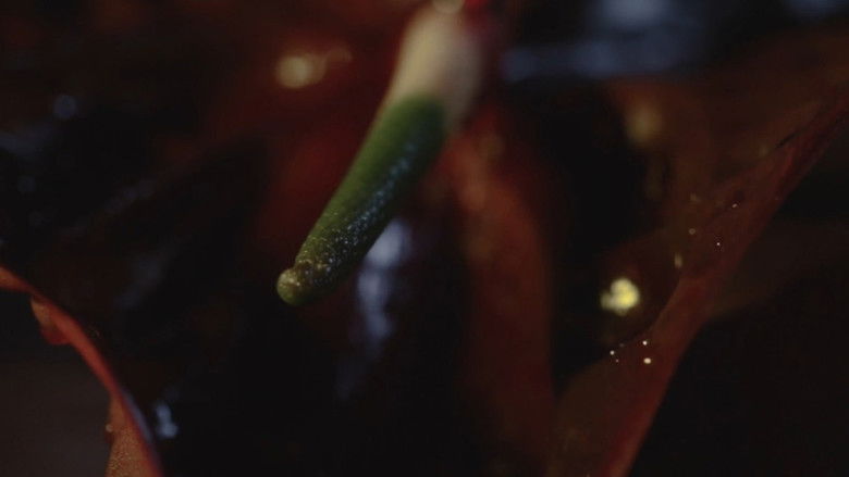 кадр из фильма The Decadence