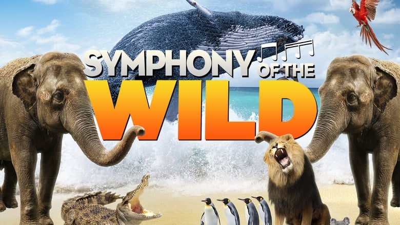 кадр из фильма Symphony of the Wild