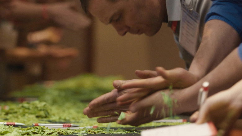 кадр из фильма Kings of Beer