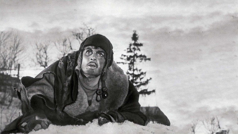 кадр из фильма Повесть о настоящем человеке