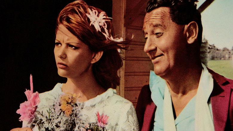 кадр из фильма Красивый, честный эмигрант в Австралии хотел бы жениться на девушке-соотечественнице