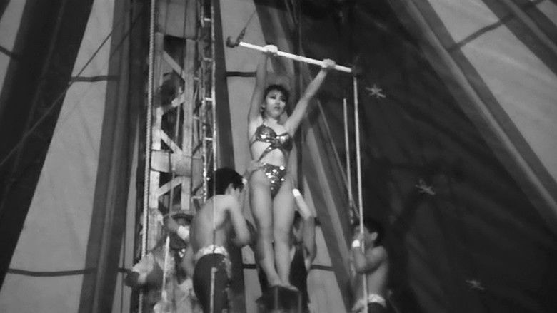 кадр из фильма Дерево без листьев