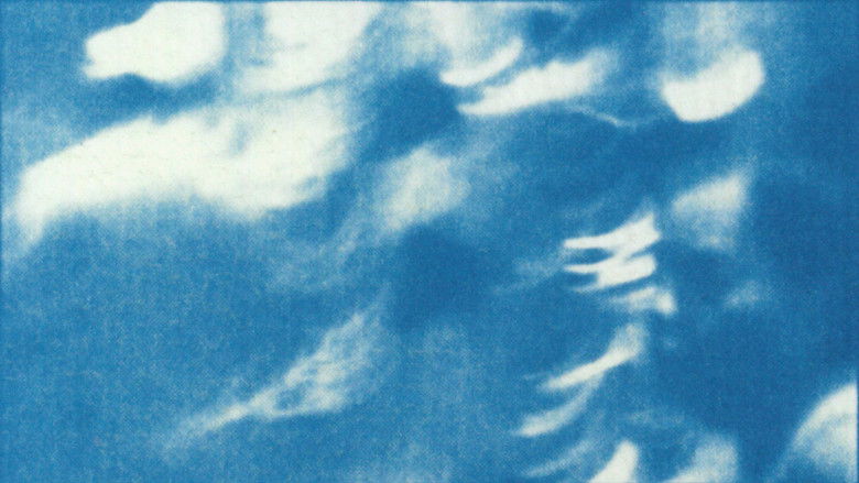 кадр из фильма AGULHA