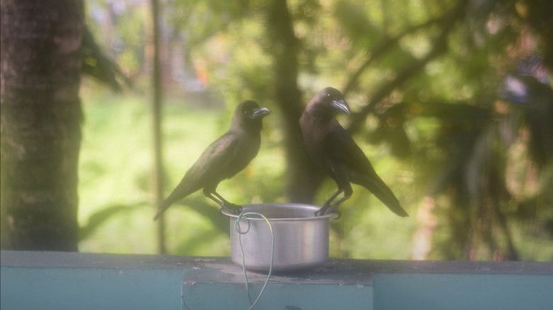 кадр из фильма ആരോടെങ്കിലും മിണ്ടണ്ടെ