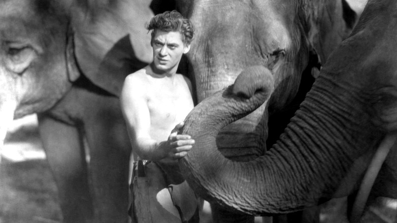 кадр из фильма Тарзан, человек-обезьяна