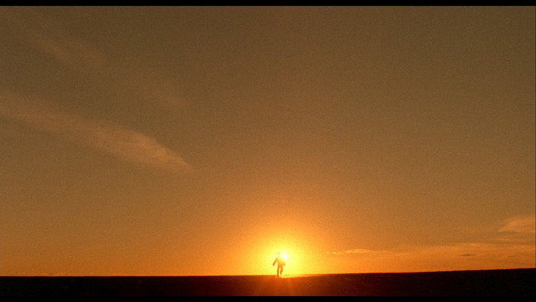 кадр из фильма Зеркальная кожа