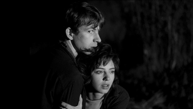 кадр из фильма O Sangue