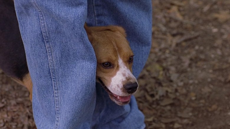 Спасая Шерлока