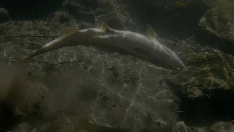 кадр из фильма Upstream