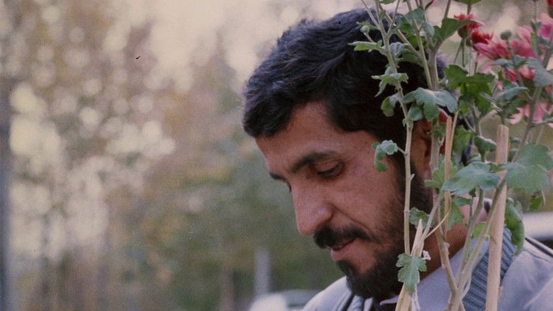 кадр из фильма Крупный план