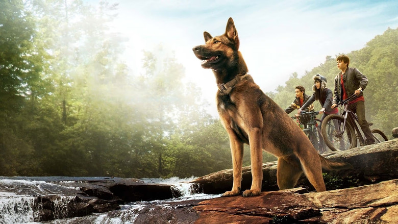 кадр из фильма Макс