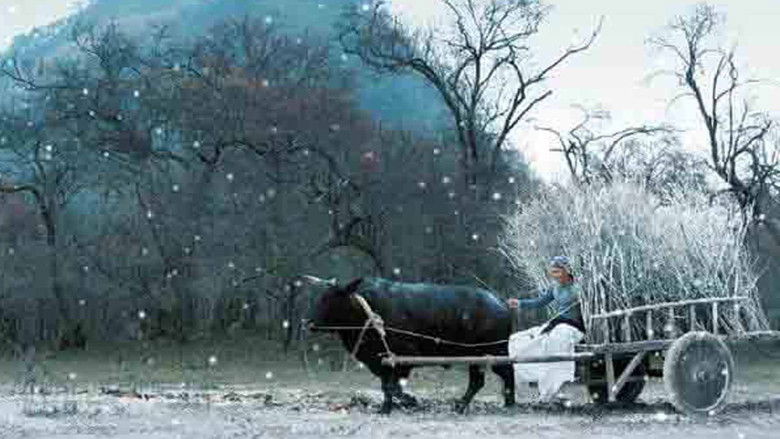 кадр из фильма Китайская история