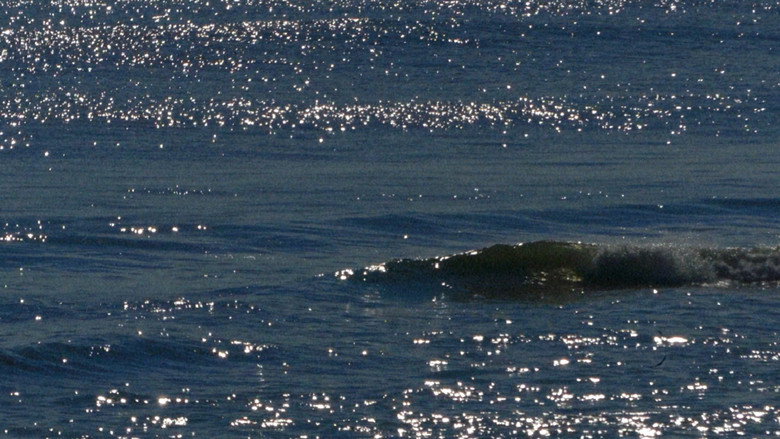 кадр из фильма Our Sylvan Bleating