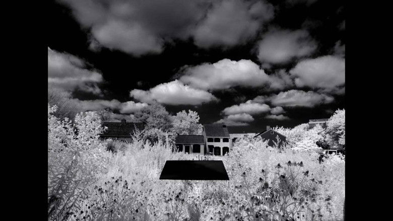 кадр из фильма Letter to the Free