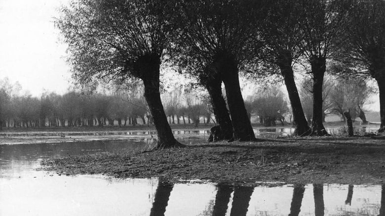 кадр из фильма Crne vode