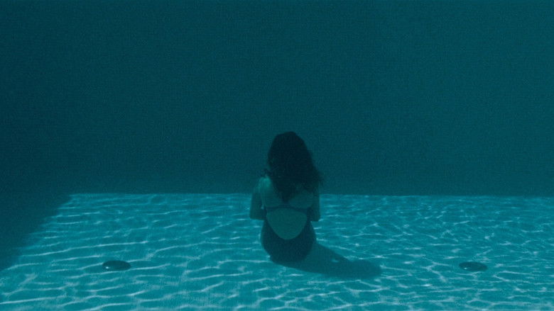 кадр из фильма Королевство