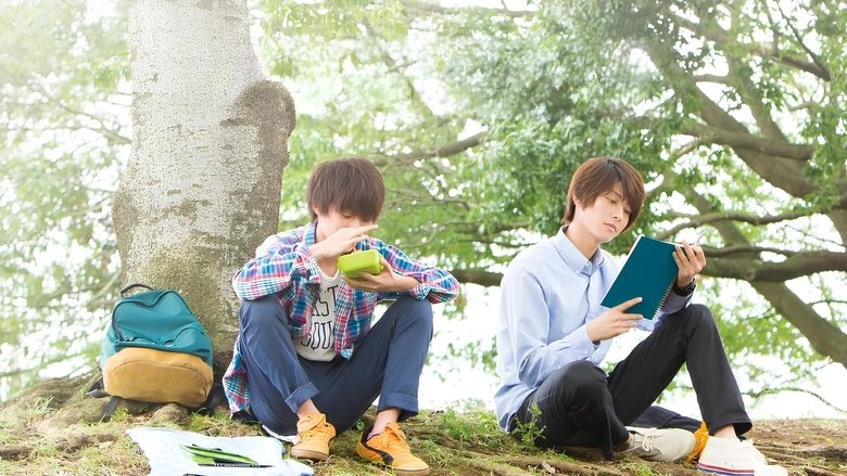 кадр из фильма ひだまりが聴こえる