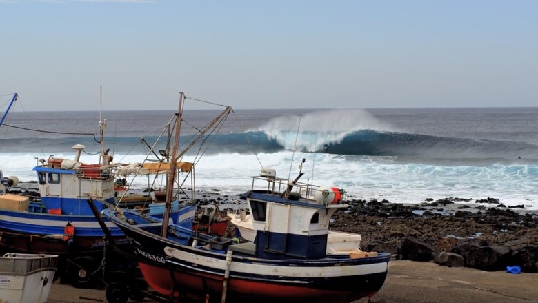 кадр из фильма HORSE