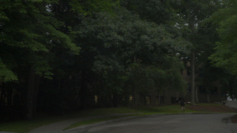 кадр из фильма Hannah Ha Ha