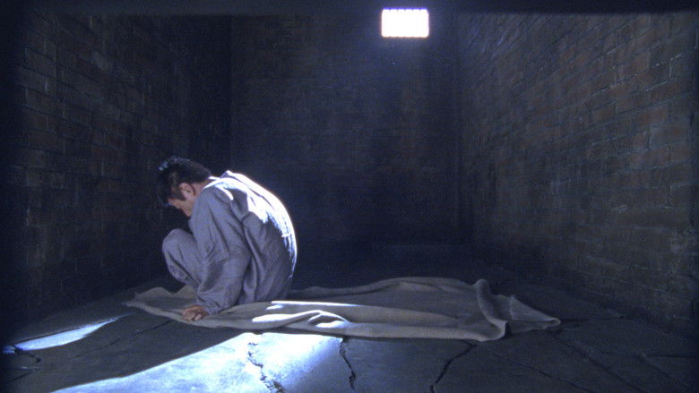 кадр из фильма トニー滝谷