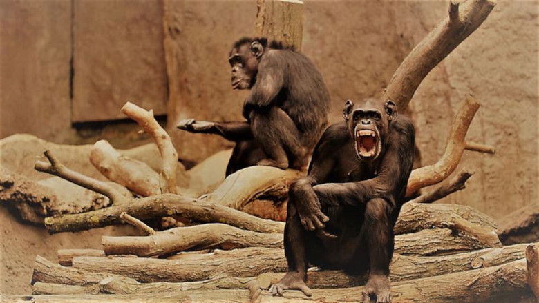 кадр из фильма Human By Chance?