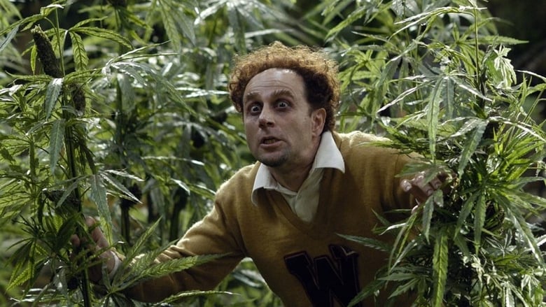 кадр из фильма Сумасшествие вокруг марихуаны: Киномюзикл