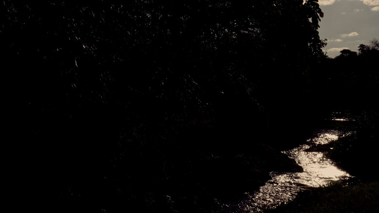 кадр из фильма Dentro de Mim Passa Um Rio