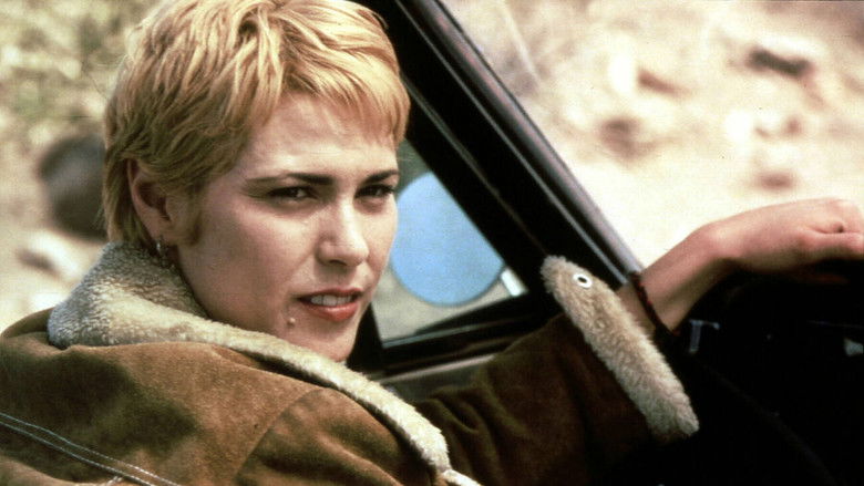 кадр из фильма Черный день, светлая ночь