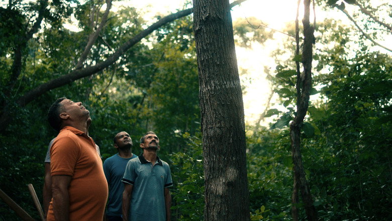 кадр из фильма O Cio da Terra