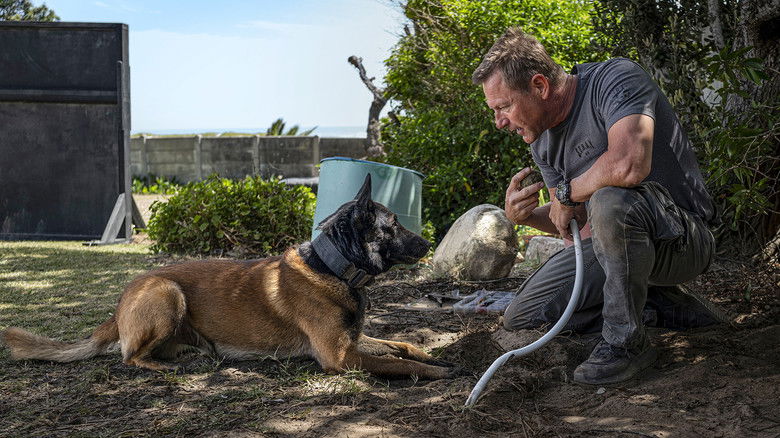 кадр из фильма Клык 2: Город волков