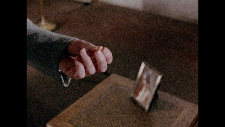 кадр из фильма Grateful Grapefruit