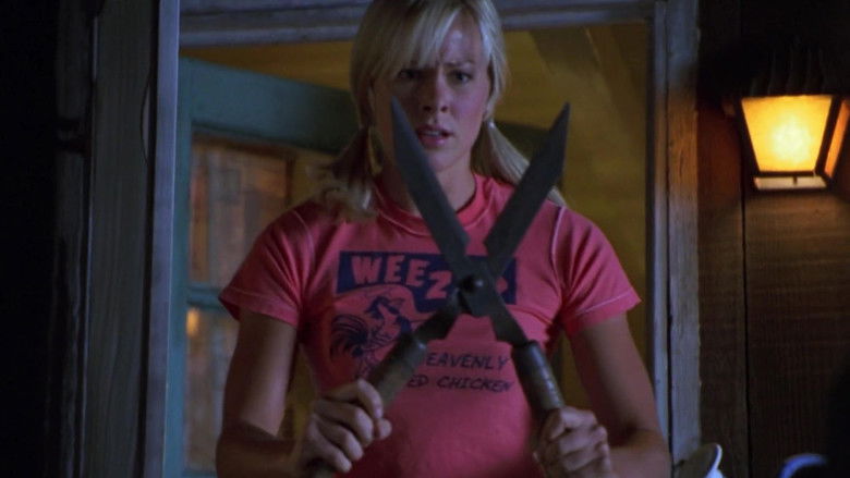 кадр из фильма Приключения Джо Грязнули