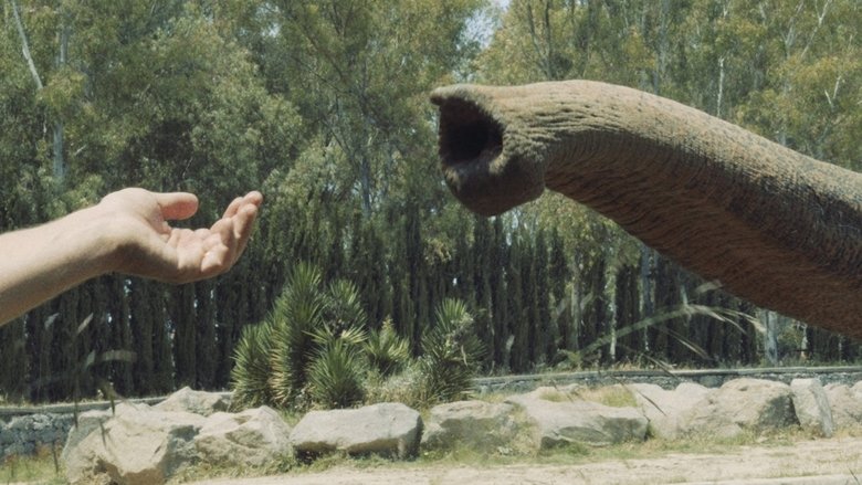 кадр из фильма Unutma Biçimleri