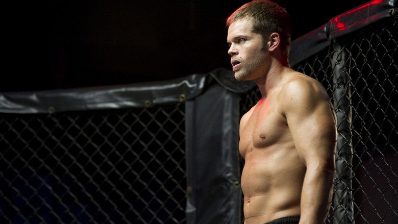 кадр из фильма Боксер