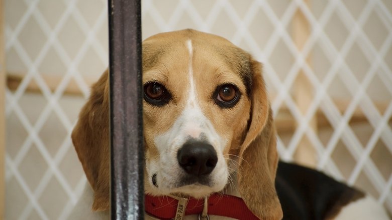 кадр из фильма Infiltrada en el búnker