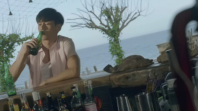 住在海边的猫头鹰