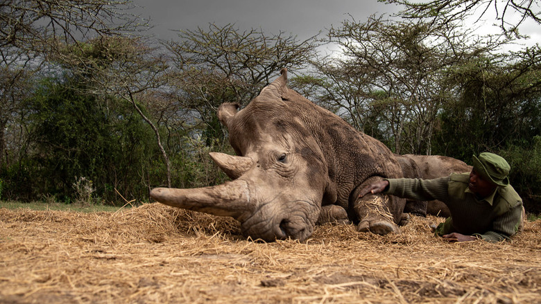 кадр из фильма MIEZI KUMI