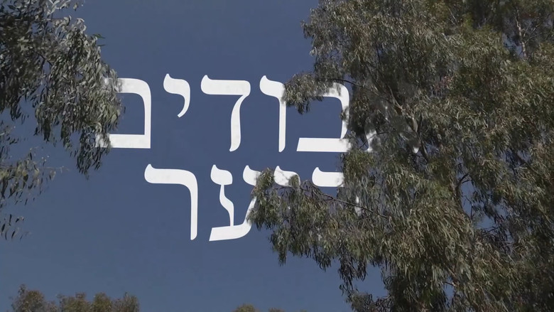 кадр из фильма אבודים ביער