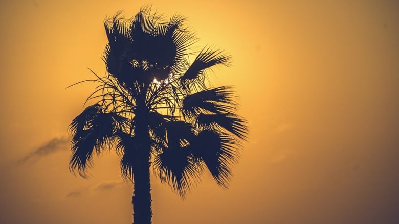 кадр из фильма Contrasts of Peru