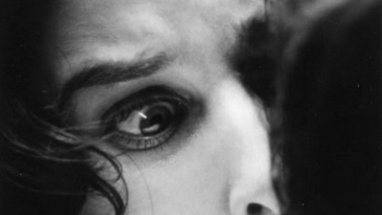 кадр из фильма Kitchen Sink