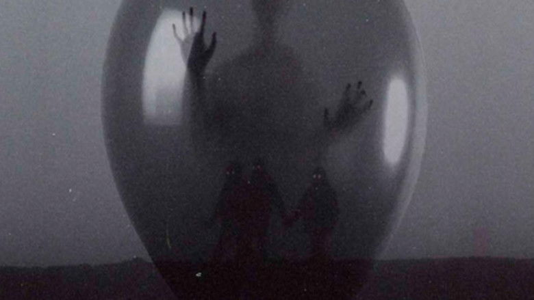 кадр из фильма Memoria de una Madre