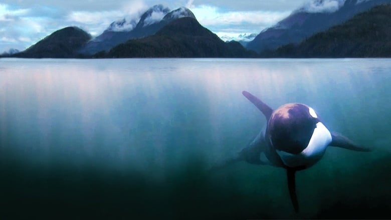 кадр из фильма The Whale