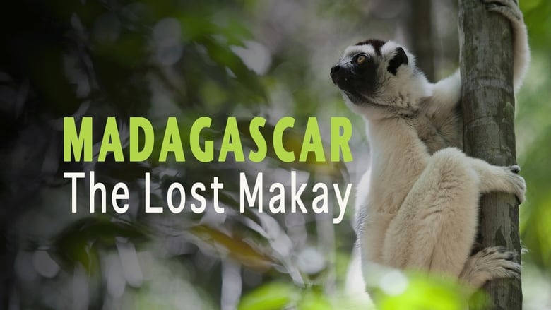 кадр из фильма Madagascar: The Lost Makay