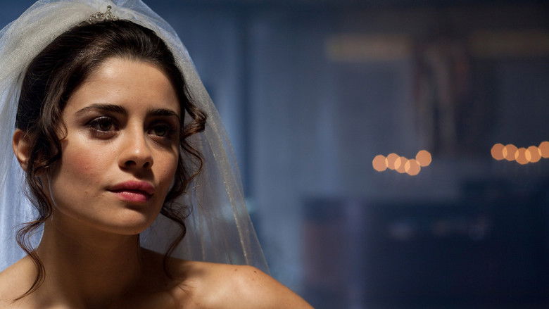 кадр из фильма Qualche nuvola