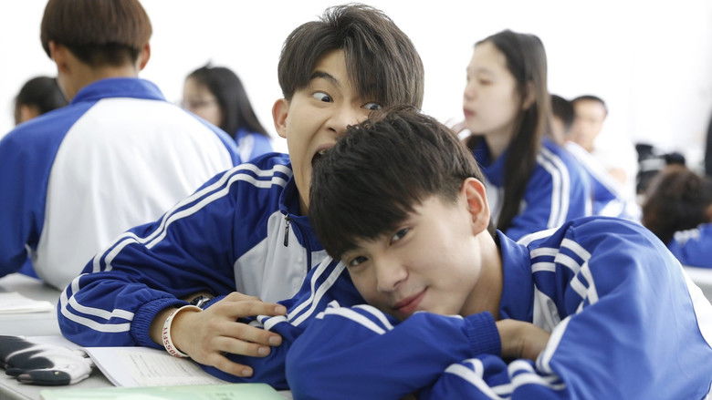 кадр из фильма 猫系同桌是大神