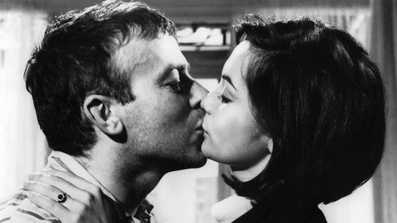 кадр из фильма The Wild Affair