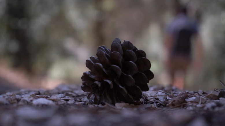 кадр из фильма LOST